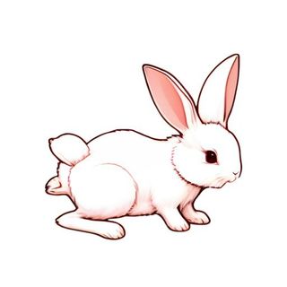 兔子免抠