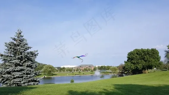 风筝, 夏天, 湖, 飞行