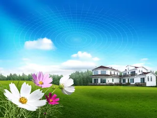 韩式自然背景 (64)