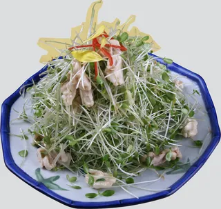 25香椿苗核桃仁-乡村小镇