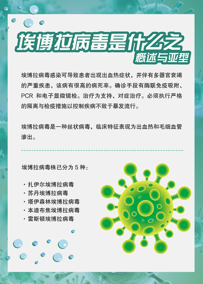埃博拉病毒是什么传染病知识海报psd模版下载