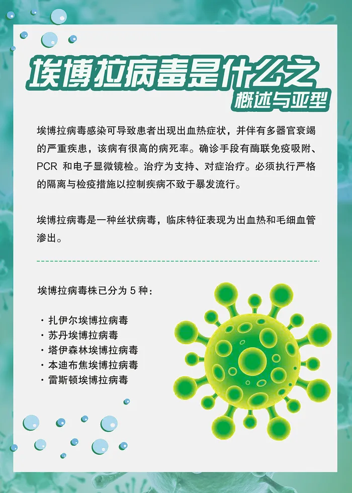 埃博拉病毒是什么传染病知识海报psd模版下载