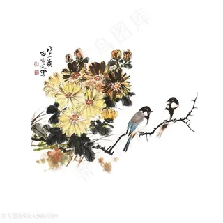 国画菊花小鸟图片