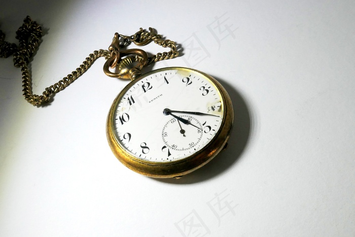 绿色多肉植物高清摄影图片