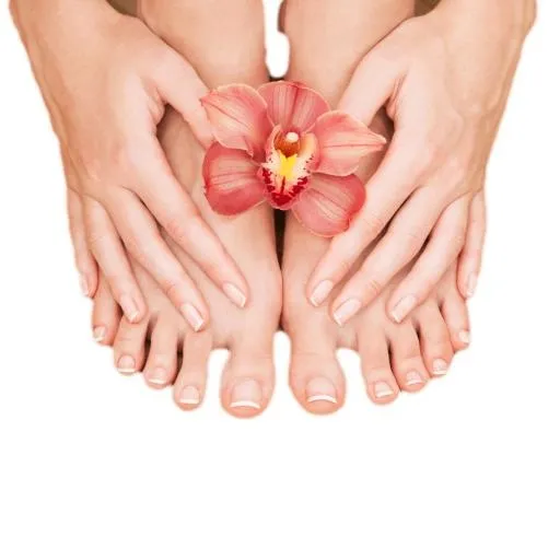 指甲 PNG免抠(1000x1000)