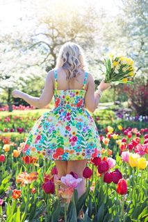 夏日花海美女背影图片