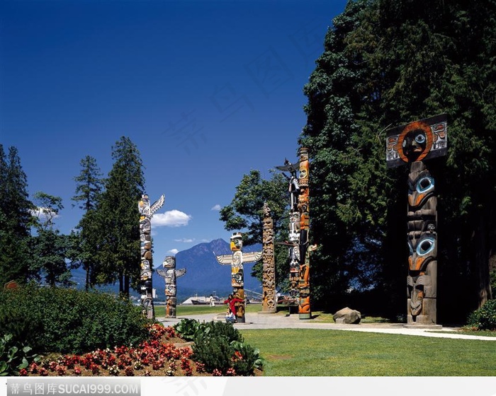 蓝天 树木 文化