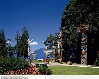 蓝天 树木 文化