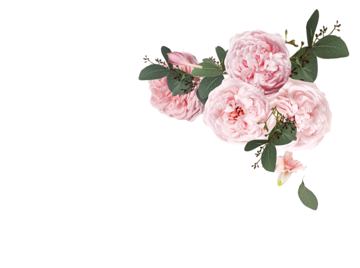 鲜花玫瑰免扣素材