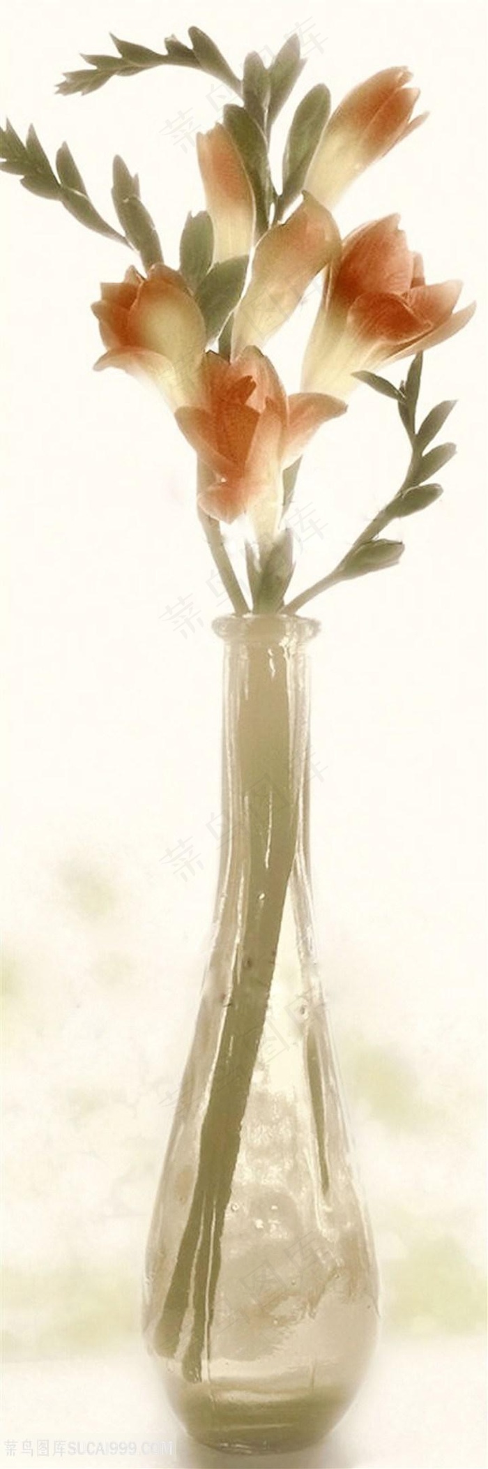 欧式花朵装饰画