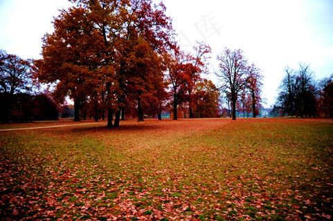 高清桃花素材图片下载
