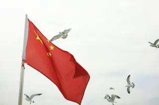 建军节、海鸥和我的祖国