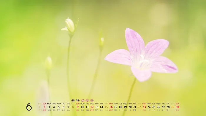 自然风光 高清壁纸 (180)