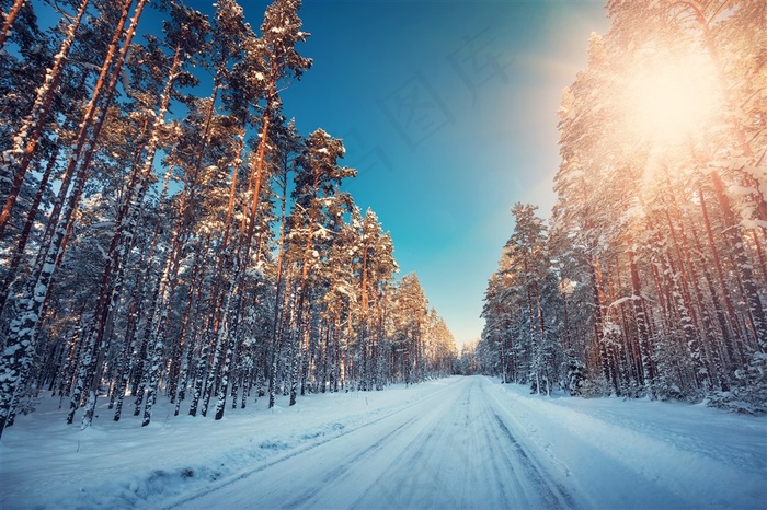 晴朗天空下的雪地风景海报