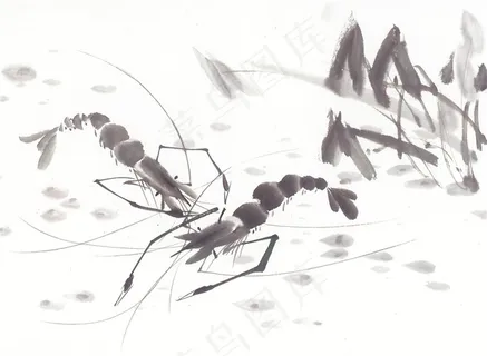 鱼虾蟹龟美图素材 鱼虾蟹龟美图素材