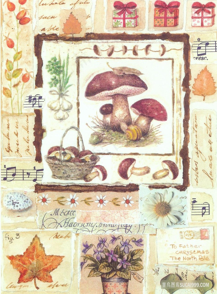唯美树叶蘑菇艺术插画