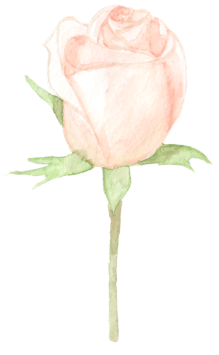 唯美森系手绘水彩花朵 免抠