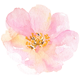 鲜花玫瑰免扣素材