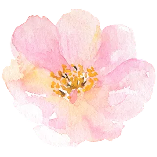 鲜花玫瑰免扣素材