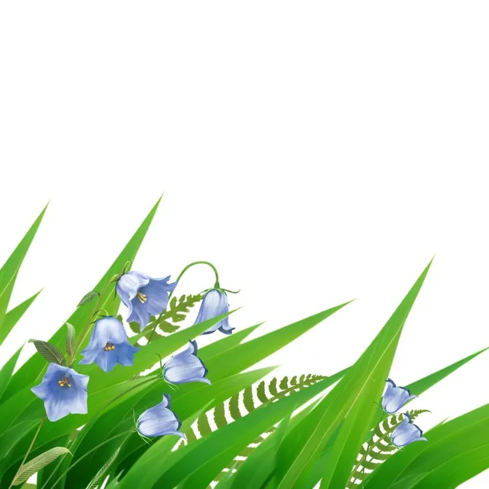 草丛叶子绿叶免抠(2048x2048)