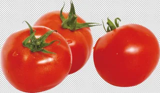 西红柿免扣素材