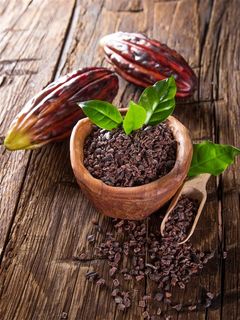 发出绿叶的坚果