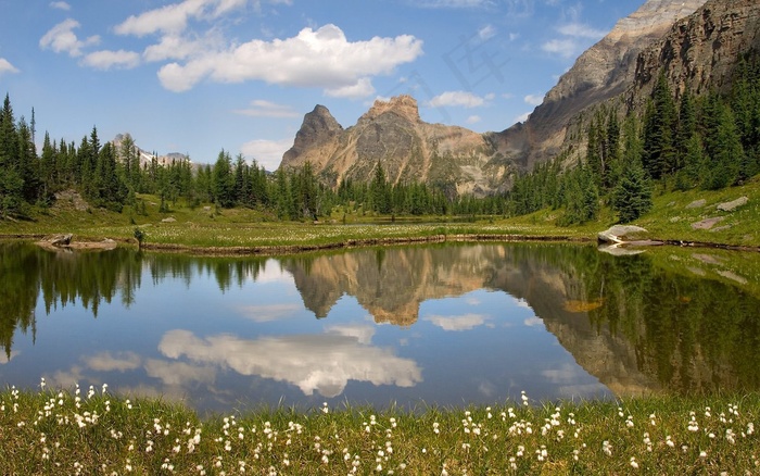蓝天 自然景色 自然风景 风景 绿树 摄影 