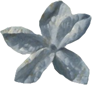 复古油画质感宫廷花卉植物花朵鲜花拼贴图案PNG免抠图片设计素材