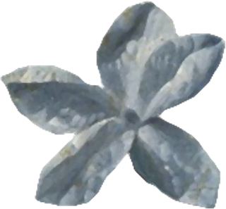 复古油画质感宫廷花卉植物花朵鲜花拼贴图案PNG免抠图片设计素材