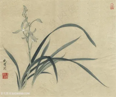 李晓明临俞致贞秋兰图高清国画图片
