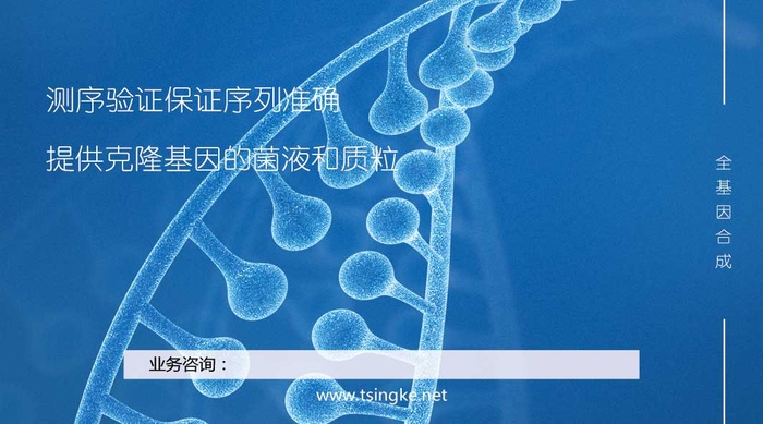 公司的名片psd模版下载