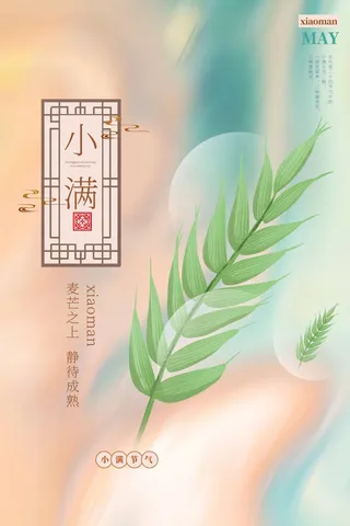 小满 传统节气海报