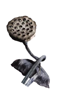 莲蓬古典元素传统