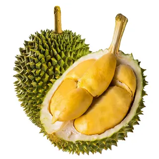 榴莲-1水果超市商品白底图免抠实物摄影png格式图片透明底