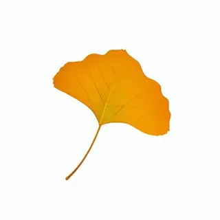 银杏叶秋天黄色树叶免抠元素