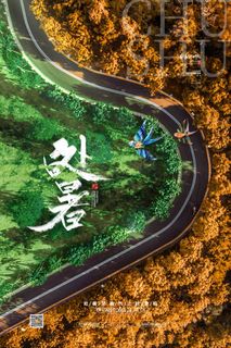 简约处暑海报传统24节气处暑宣传海报