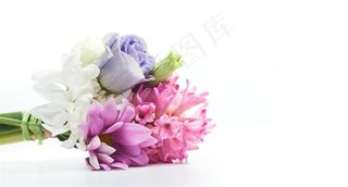 春季春天紫色粉色花束鲜花卉粉色桌面背景