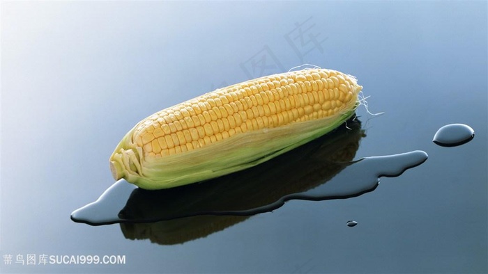 粮食玉米图片