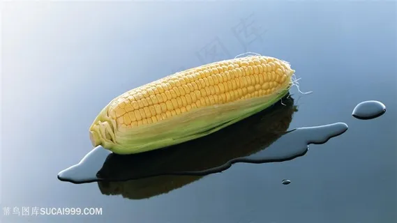粮食玉米图片