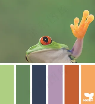 动物配色色卡色彩搭配