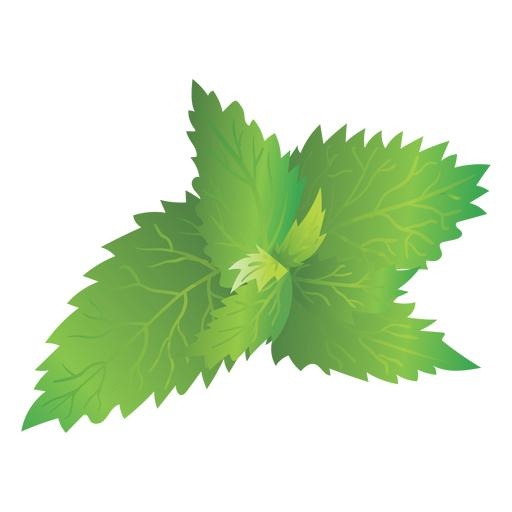 荨麻免抠(512x512)