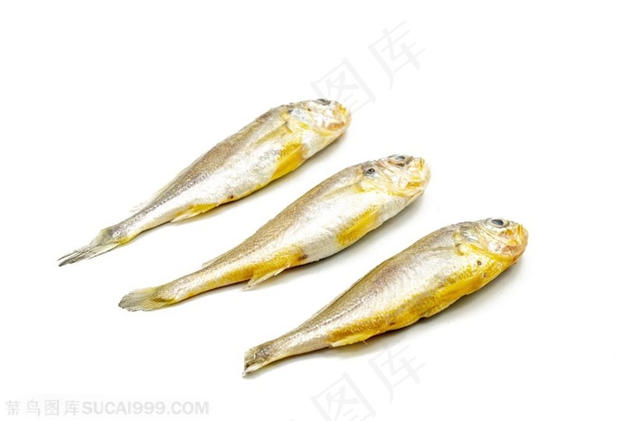 高清小黄鱼海鲜图片