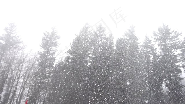 降雪, 雪, 雪花, 吹雪, 薄片, 暴风雪, 冰冷的