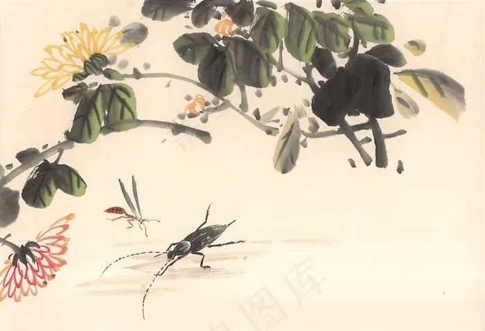 昆虫花草欣赏花jpg素材