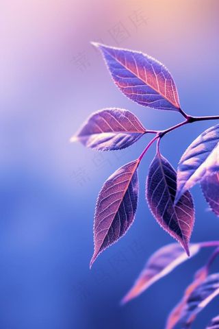 紫色枝叶清新背景
