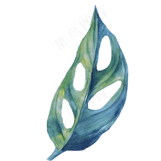 水彩插画-树叶2
