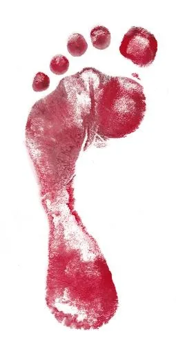 脚印 PNG免抠(1593x3198)