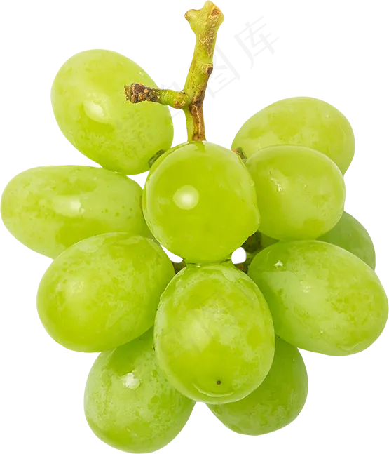 09_Grapes