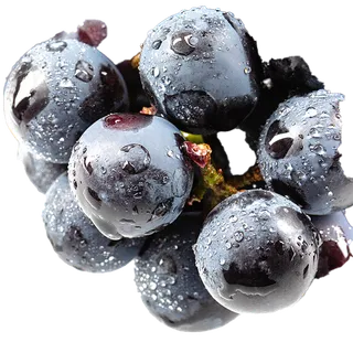 葡萄 (2)水果超市商品白底图免抠实物摄影png格式图片透明底