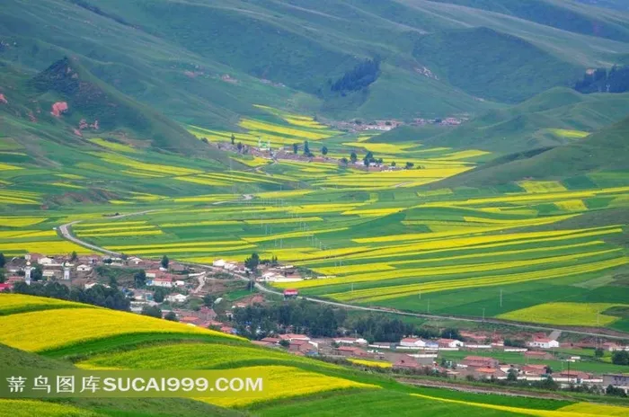 青海卓尔山山村油菜花美景